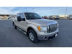 2010 Ford F-150 XL