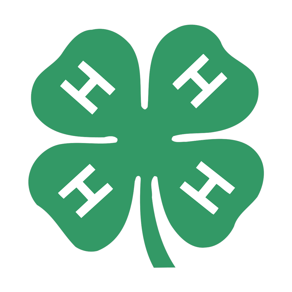 4-H Youth Development